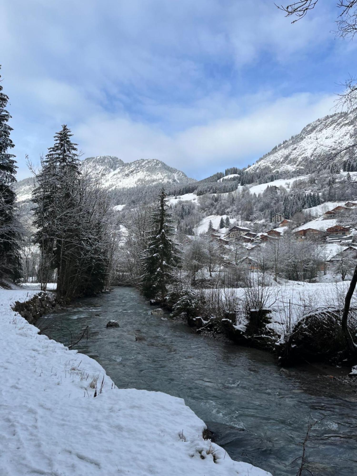 Cosy 2 Pieces Proche Chatel Abondance Exterior foto